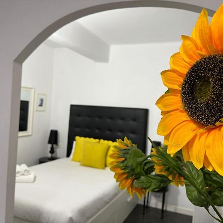 Ferienwohnung A 20 Pasos Del Museo Picasso Málaga Exterior foto