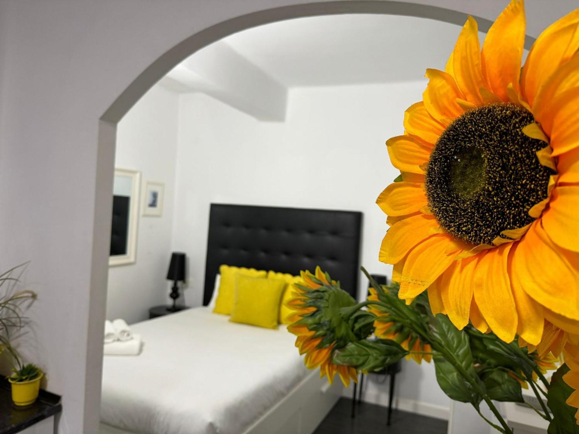 Ferienwohnung A 20 Pasos Del Museo Picasso Málaga Exterior foto